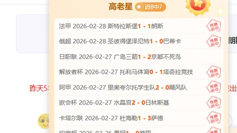 “沃尔夫斯堡1：0霍芬海姆：德甲第16轮精彩瞬间回放”