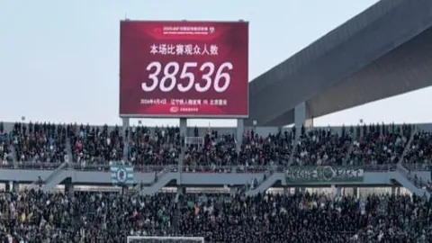 港珠澳大桥单日客流量再创历史新高